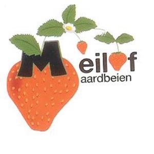 Aardbeien Meilof